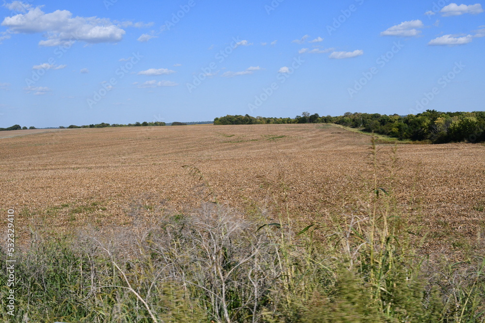 Harvested Corn Field