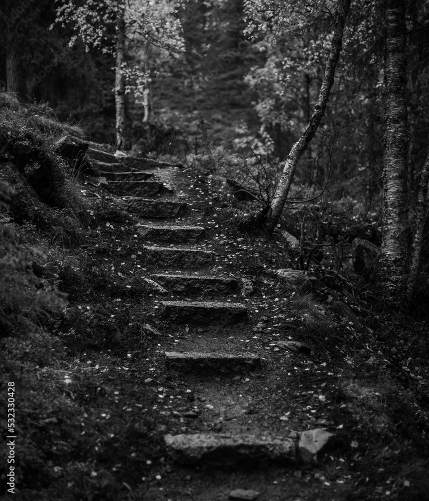 Naklejka premium Stairs to heaven?