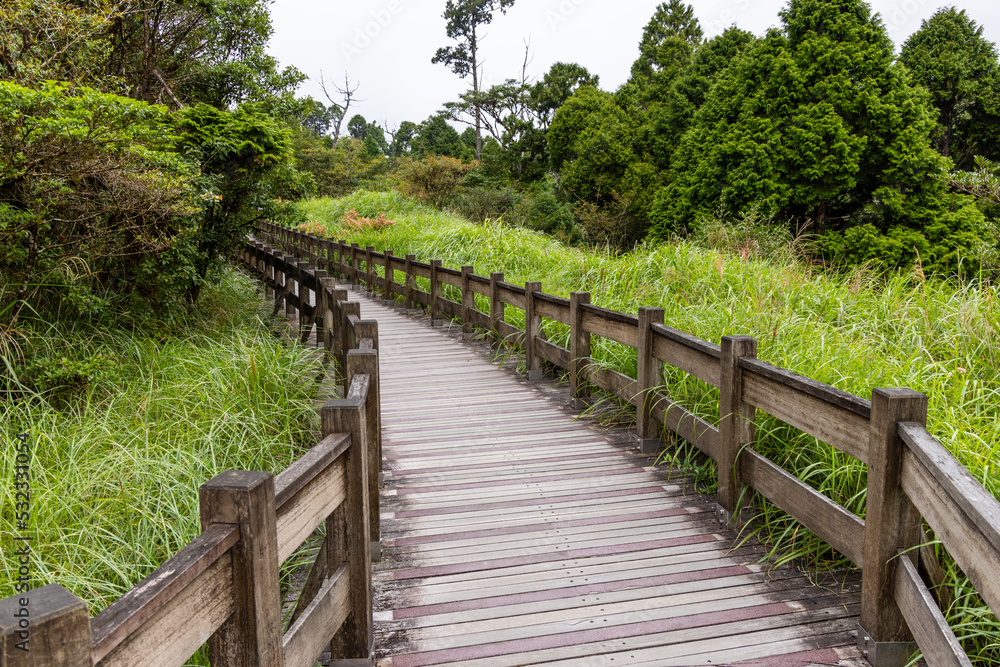 Wooden path in hiking train on mountain