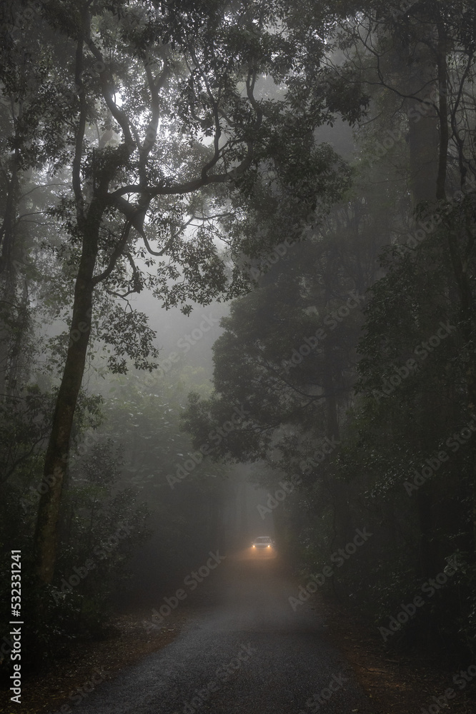 Car with lights on travelling through a misty foggy road surrounded by trees Car with lights on travelling through a misty foggy road surrounded by trees