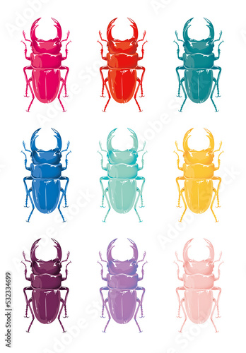 Dorcus hopei binodulosus カラーオオクワガタ