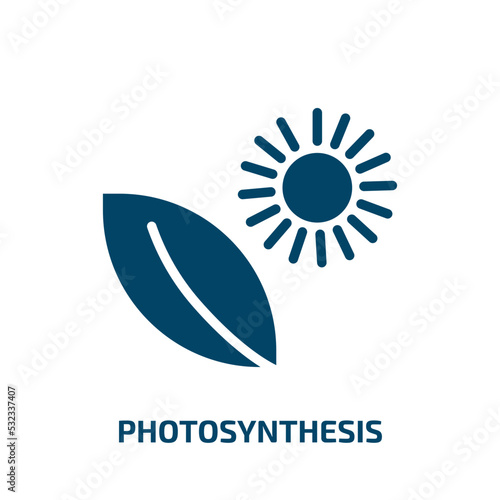 photosynthesis icon from education collection. Filled photosynthesis, ecology, nature glyph icons isolated on white background. Black vector photosynthesis sign, symbol for web design and mobile apps