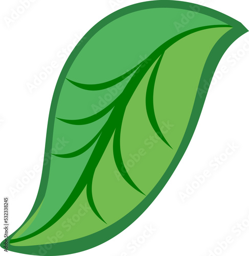 green leaf illustration