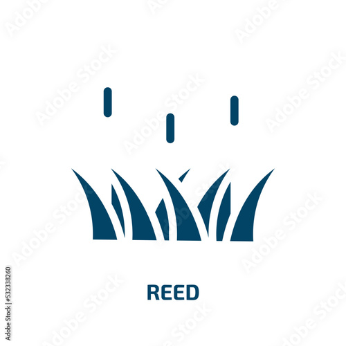 reed icon from nature collection. Filled reed, flora, water glyph icons isolated on white background. Black vector reed sign, symbol for web design and mobile apps
