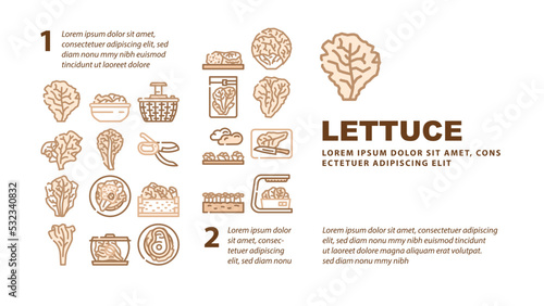 lettuce salad leaf vegetable landing web page header vector. green fresh plant, white iceberg farm, garden food, leaves, head organic cabbage lettuce salad leaf vegetable Illustration