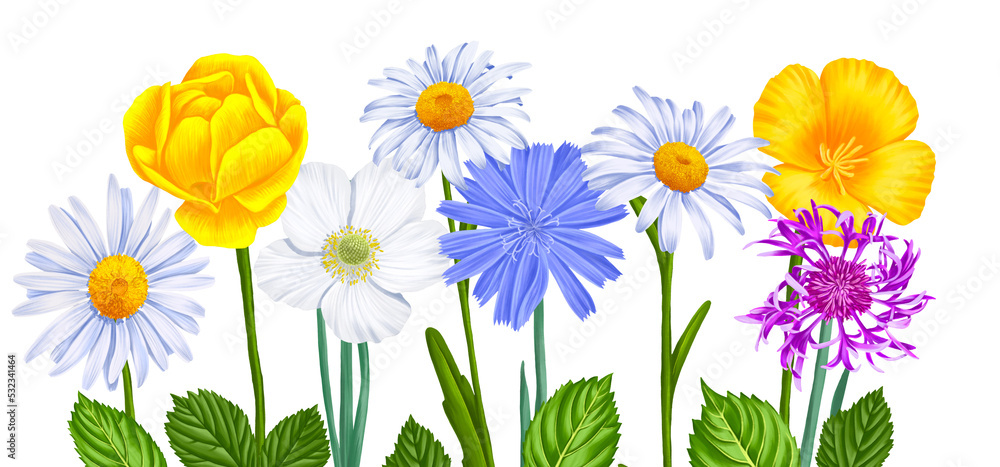 composition with drawing flowers composition with drawing flowers