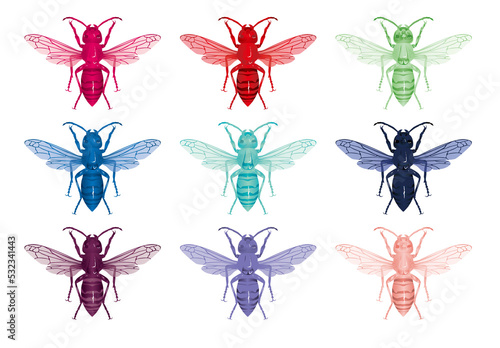 vibrant hornet カラースズメバチ