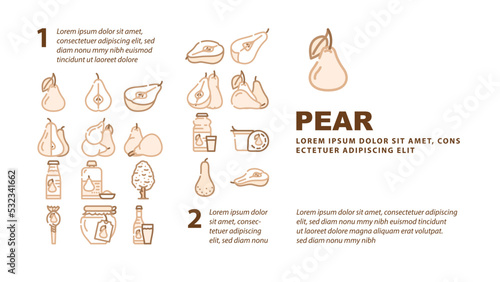 pear fruit half food slice landing web page header vector. white green leaf, cut fresh juicy ripe, asian organic raw piece, tree pear fruit half food slice Illustration
