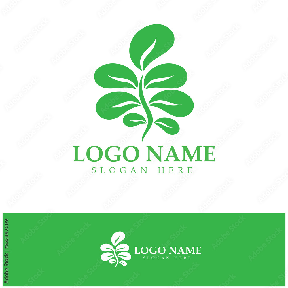 green moringa leaf logo, for herbal ingredients, moringa farming, health, medicine industry, beauty, therapy, concept design vector illustration icon template with a modern concept green moringa leaf logo, for herbal ingredients, moringa farming, health, medicine industry, beauty, therapy, concept design vector illustration icon template with a modern concept