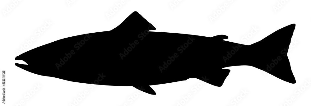 Salmon Fish Silhouette for Icon, Symbol, Logo, Pictogram, Apps, Website or Graphic Design Element. Format PNG Salmon Fish Silhouette for Icon, Symbol, Logo, Pictogram, Apps, Website or Graphic Design Element. Format PNG