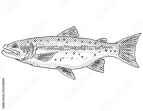 Cartoon style line drawing of a Athabasca rainbow trout or Oncorhynchus mykiss a freshwater fish endemic to North America with halftone dots shading on isolated background in black and white.