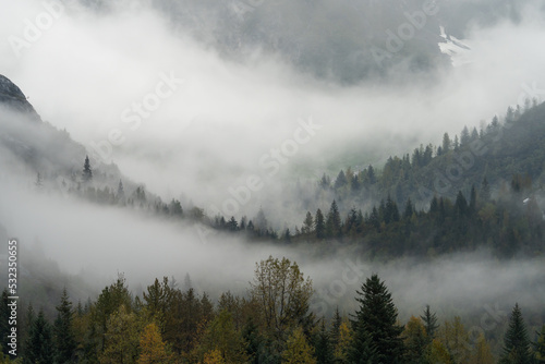 Foggy landscape in Glacier Bay National Park © David Katz