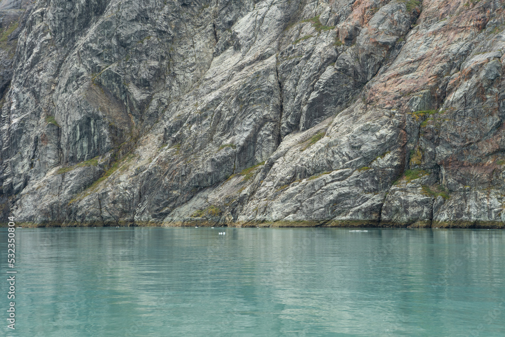 Fjord wall in Glacier Bay National Park
