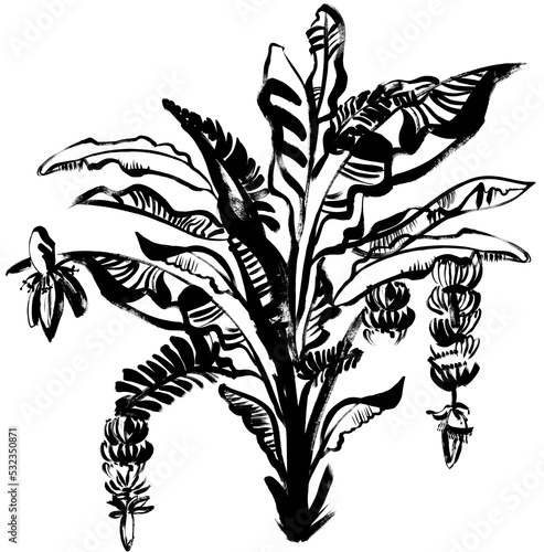 banana palm in the style of free drawing executed with a dry brush black  isolated on white