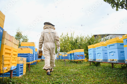 Beekeeper is working with bees and beehives on apiary. Bees on honeycomb. Frames of bee hive. Beekeeping. Honey. Healthy food. Natural products.