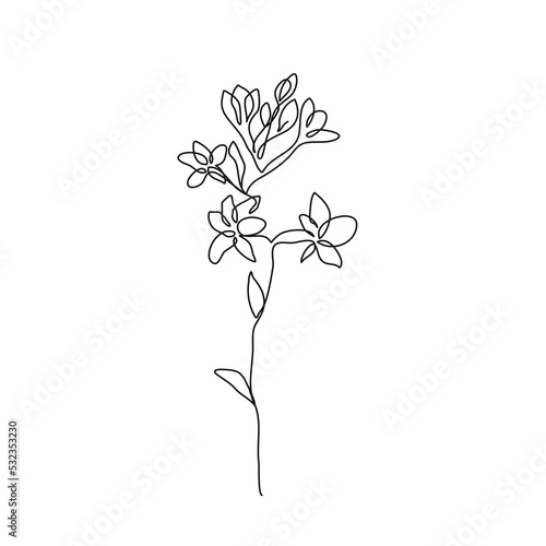 Continuous Line Drawing Of Plant Black Sketch of Flowers Isolated on White Background. Flower One Line Illustration for Minimalist Design. Vector EPS 10. 
