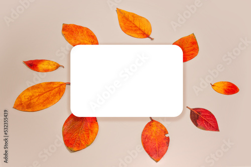 a white card with autumn leaves on a neutral background. autumn mood. winter is coming soon. winter is coming. free space for text. postcard.