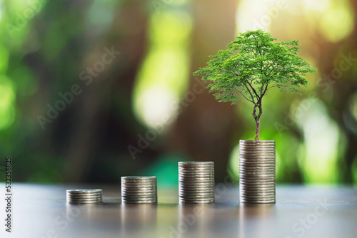 coins stack with step growing plant and sunshine background. concept saving money