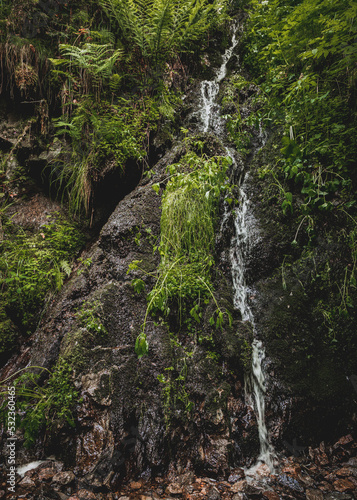 Ravennaschlucht im Schwarzwald Deutschland