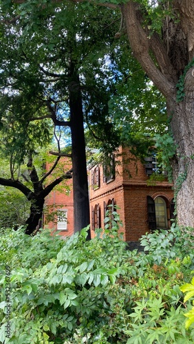 Beautiful campus of the University of Tokyo Fine Arts, year 2022 from the street of Tokyo walk