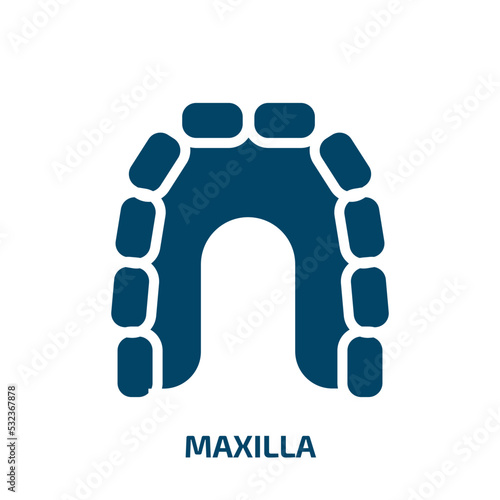 maxilla icon from dentist collection. Filled maxilla, human, medical glyph icons isolated on white background. Black vector maxilla sign, symbol for web design and mobile apps photo