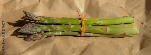 Fresh organic asparagus, Gotland Sweden.