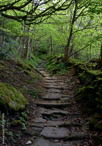 Hiking Trail Known as the Nun Steps