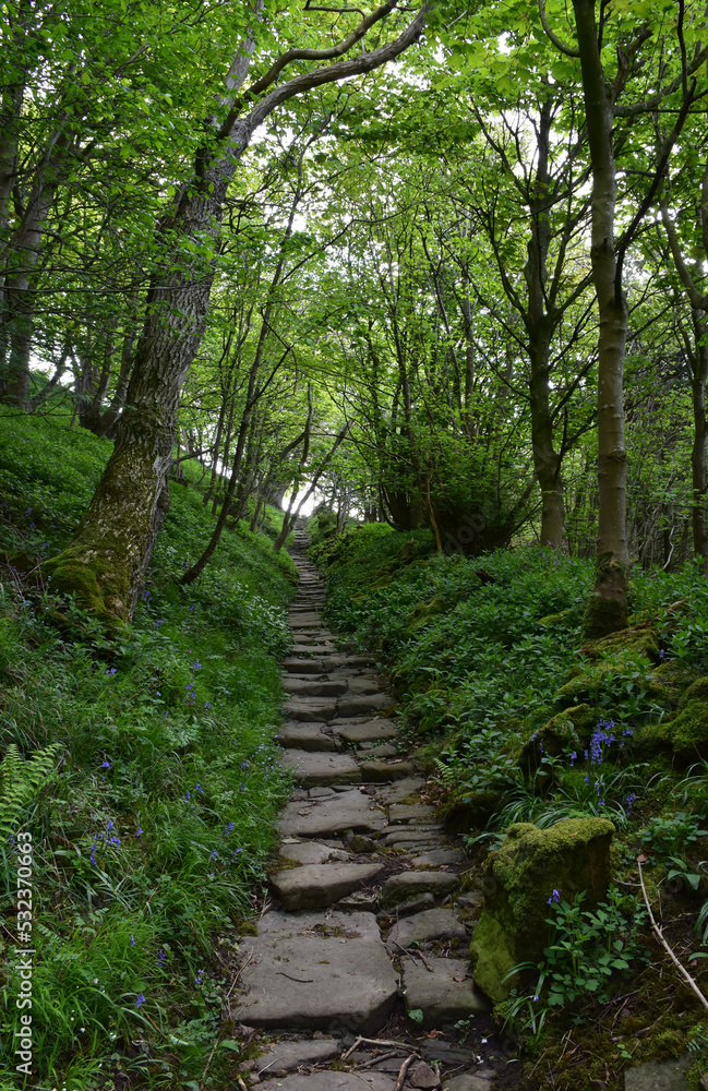 Fototapeta premium Iconic Nun Steps Along Coast to Coast Hike