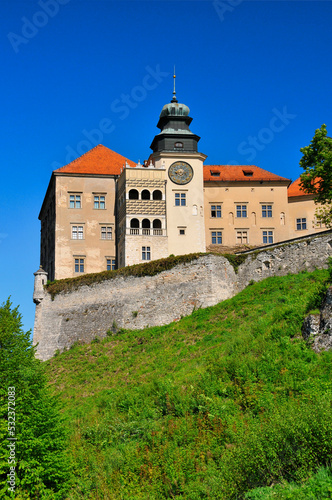 Pieskowa Skala - limestone cliff and renaissance castle near Soluszowa village  Lesser Polan Voivodeship.