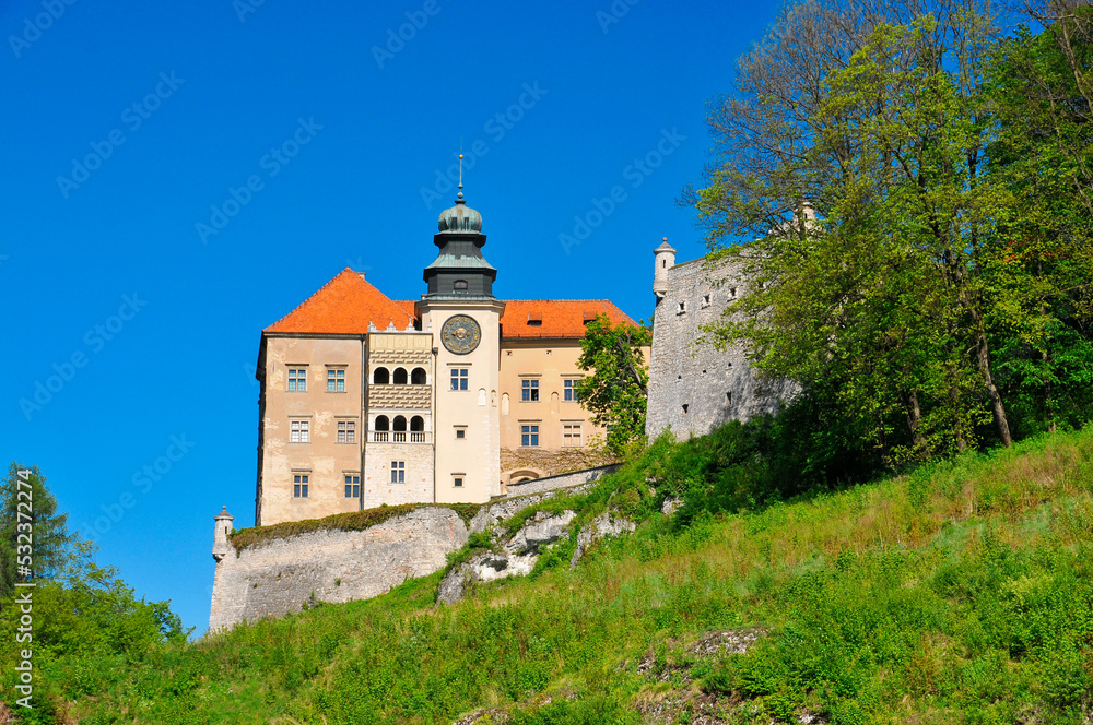 Pieskowa Skala - limestone cliff and renaissance castle near Soluszowa village, Lesser Polan Voivodeship. Pieskowa Skala - limestone cliff and renaissance castle near Soluszowa village, Lesser Polan Voivodeship.