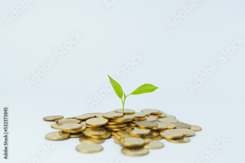 lot of gold coins and green plant over white background