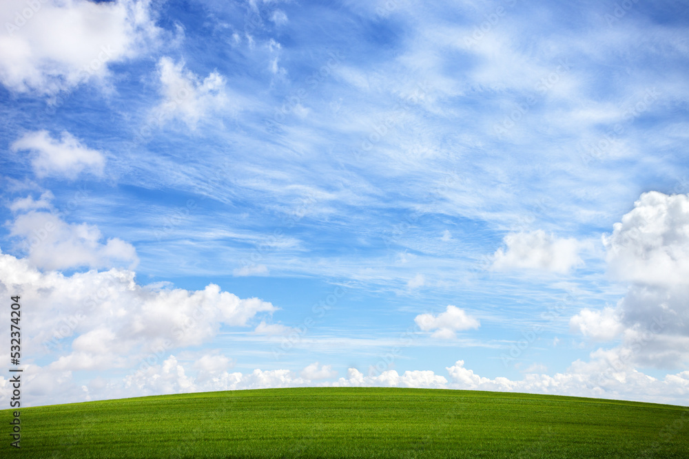 Green field and blue sky with white clouds Green field and blue sky with white clouds