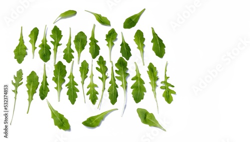  Isolated leaves of aromatic culinary plant used in cooking called arugula on white background copy space