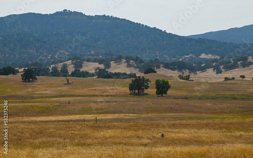 Santa Lucia Mountains Foothills, Santa Margarita