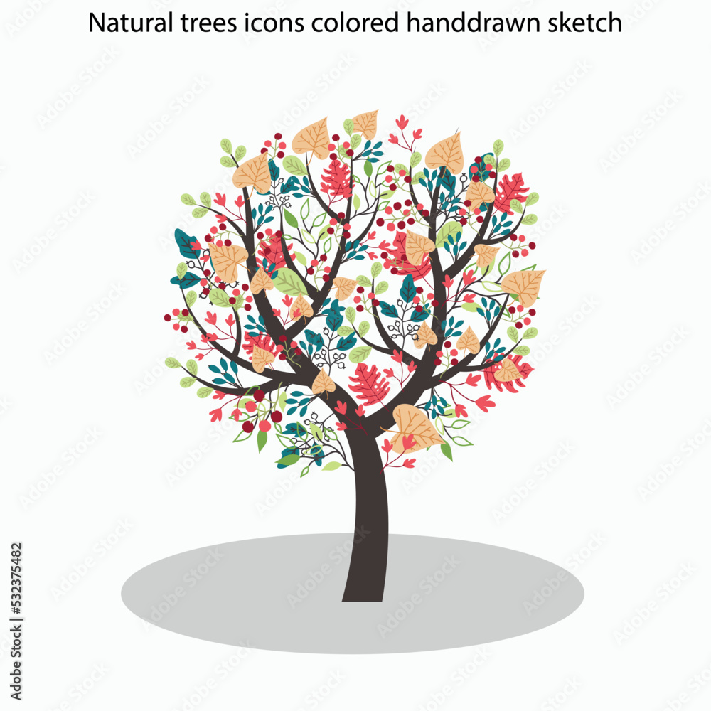 Natural trees icons colored handdrawn sketch Natural trees icons colored handdrawn sketch