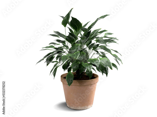 3d render green plant in a clay pot on a white background
