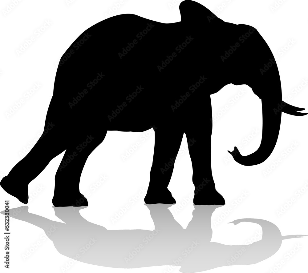Obraz premium Elephant Silhouette