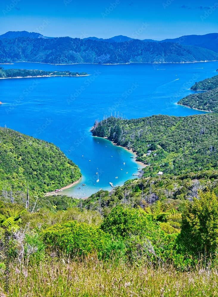 Kenepuru Sound, Marlborough Sounds, New Zealand