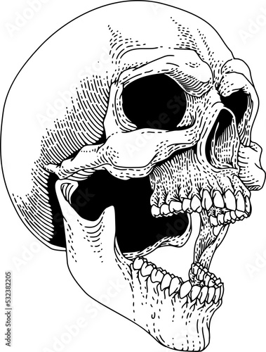 Screaming skull in a vintag...