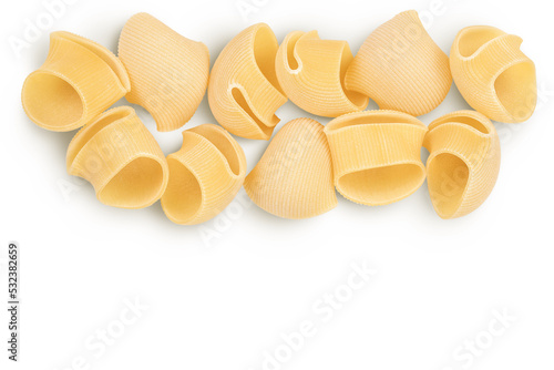 lumaconi pasta isolated on white background with full depth of field. Top view with copy space for your text. Flat lay