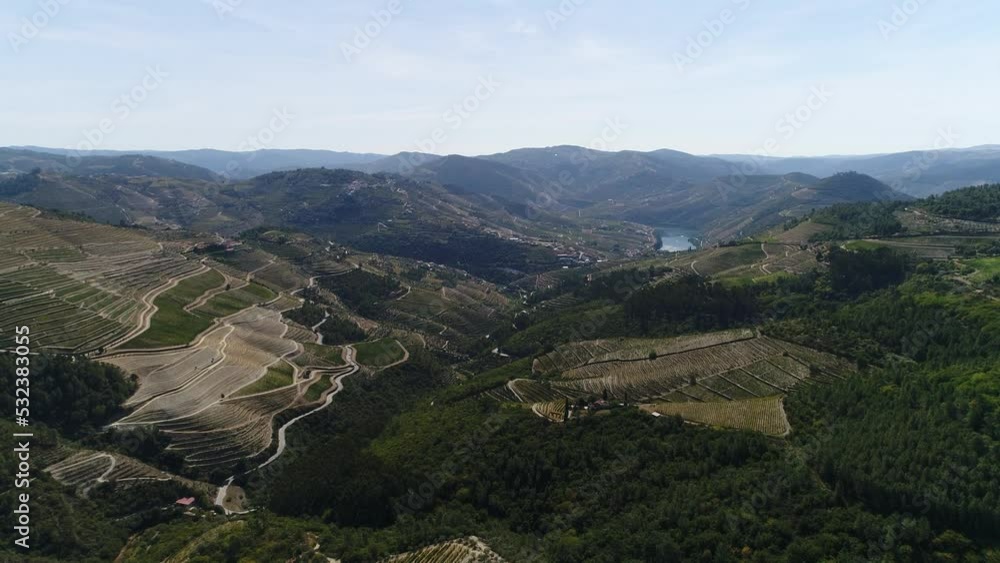 Aerial view of the Terraced Vneyards in the Douro River Valley, Portugal, 4k. Stunning Nature Landscape. Tourist Atraction. Travel Destination. Unesco