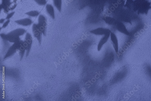 Shadow of leaves on purple blue concrete wall texture with roughness and irregularities. Abstract trendy colored nature concept background. Copy space for text overlay, poster mockup flat lay  photo