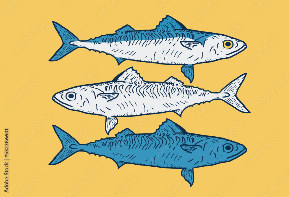 Obraz premium Blue Fish Vintage Icon Design