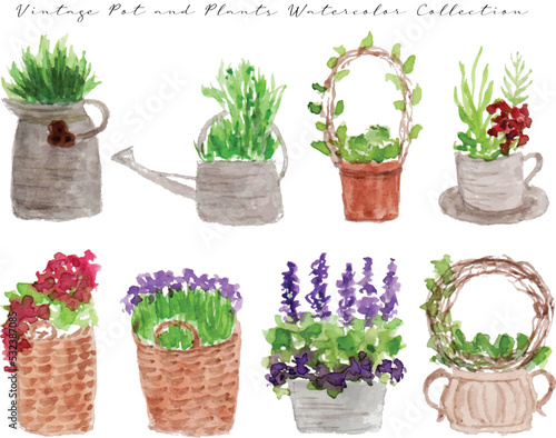 a set of cute hand painted plants and pots