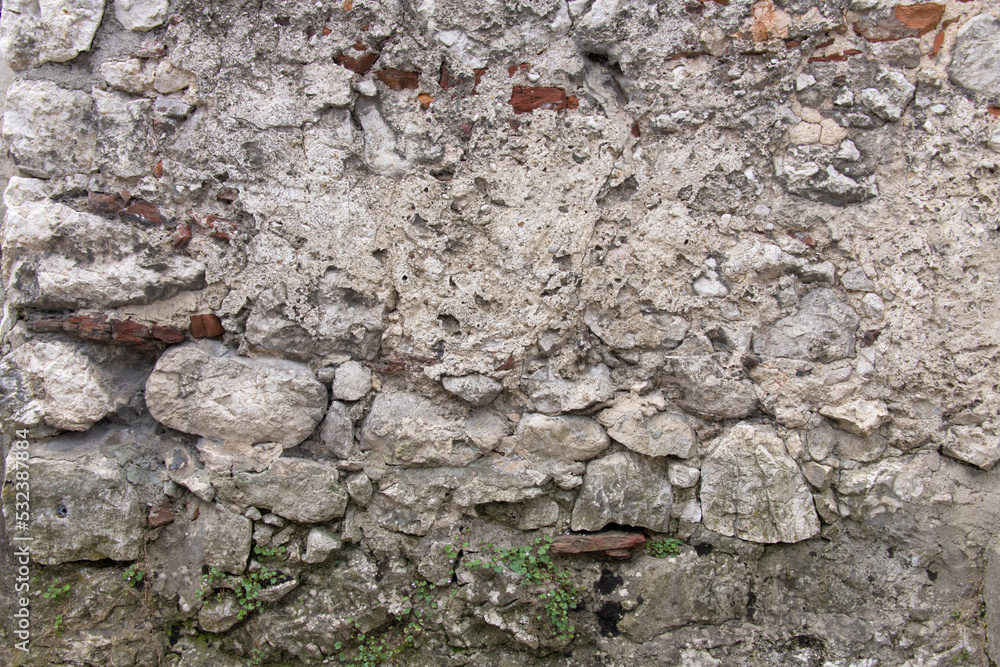 Fototapeta premium Closeup old wall chipped plaster growing weeds