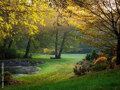 old wooden bench in a autumn garden with a pond in sunset light, autumnal mood
