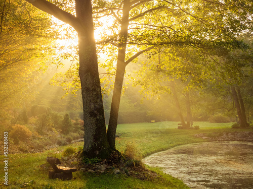 old wooden bench in a autumn garden with a pond in a backlit of sunset light, calm autumnal mood