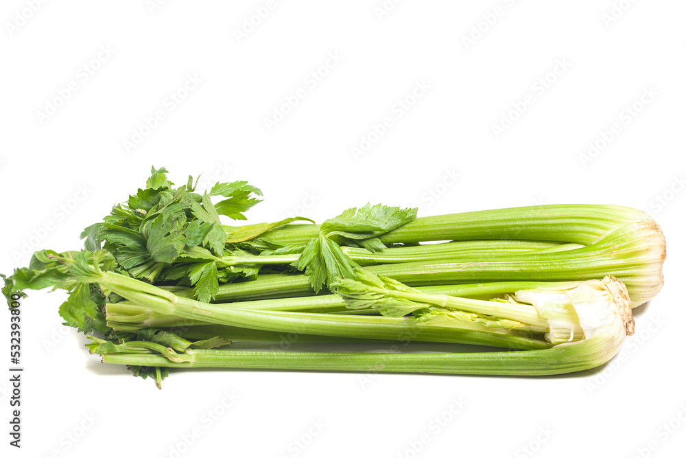 Fresh celery isolated on white background Fresh celery isolated on white background