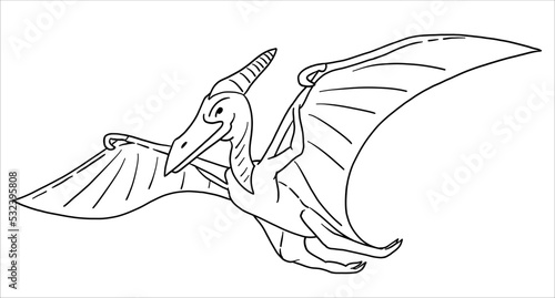 Pteranodon Dinosaur. Illustration in black and white style. The contour line. Vector for coloring.