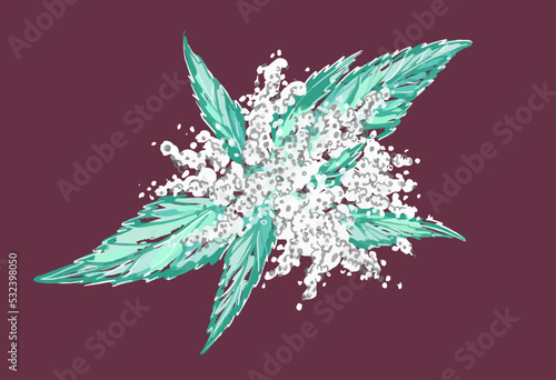 An unusual plant. White flowers near the grass. Nettle blooming, top view. Illustration on an isolated background. Vector.